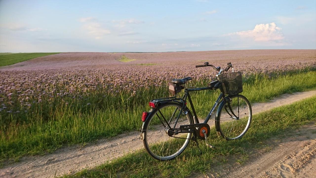 Domek Letniskowy Dario Ińsko Exteriér fotografie