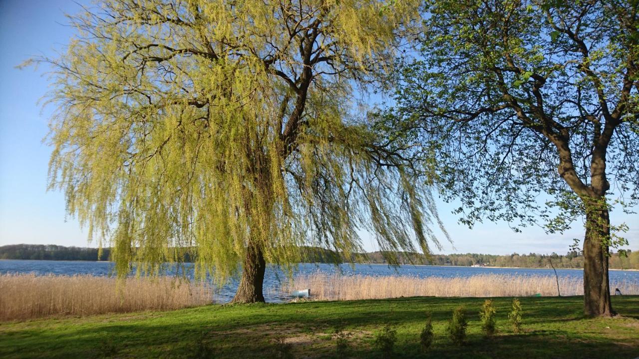 Domek Letniskowy Dario Ińsko Exteriér fotografie
