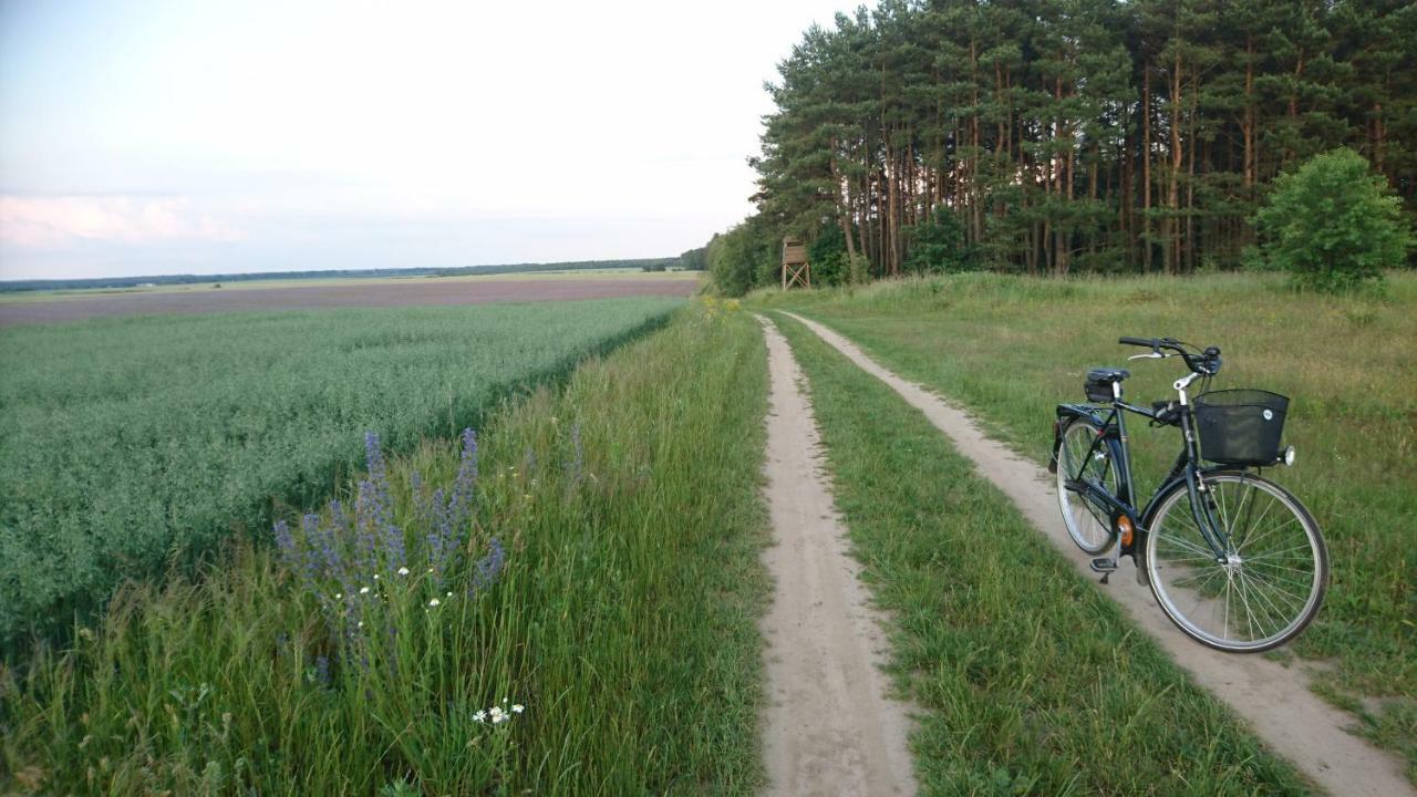 Domek Letniskowy Dario Ińsko Exteriér fotografie